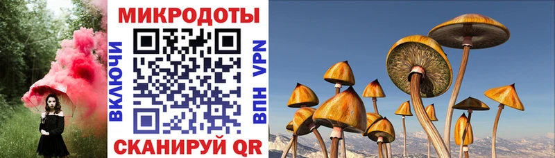 Галлюциногенные грибы Cubensis  наркота  Касли 